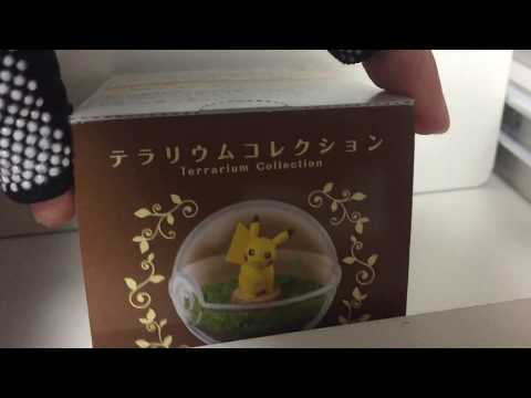 ポケットモンスター テラリウムコレクションレビュー