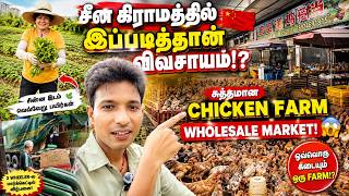 சீனாவில் 🇨🇳கிராமத்தில் இப்படித்தான் விவசாயம் பண்றாங்களா! 🌱 சுத்தமான Chicken Farm Wholesale Market!