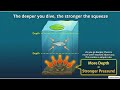 NCERT Science | Class 8 | CH6 - U2 - Pressure, Winds, Storm, Cyclone