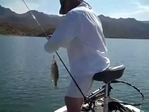 Bass Fishing Bartlett Lake Arizona 7-14-2010 - YouTube