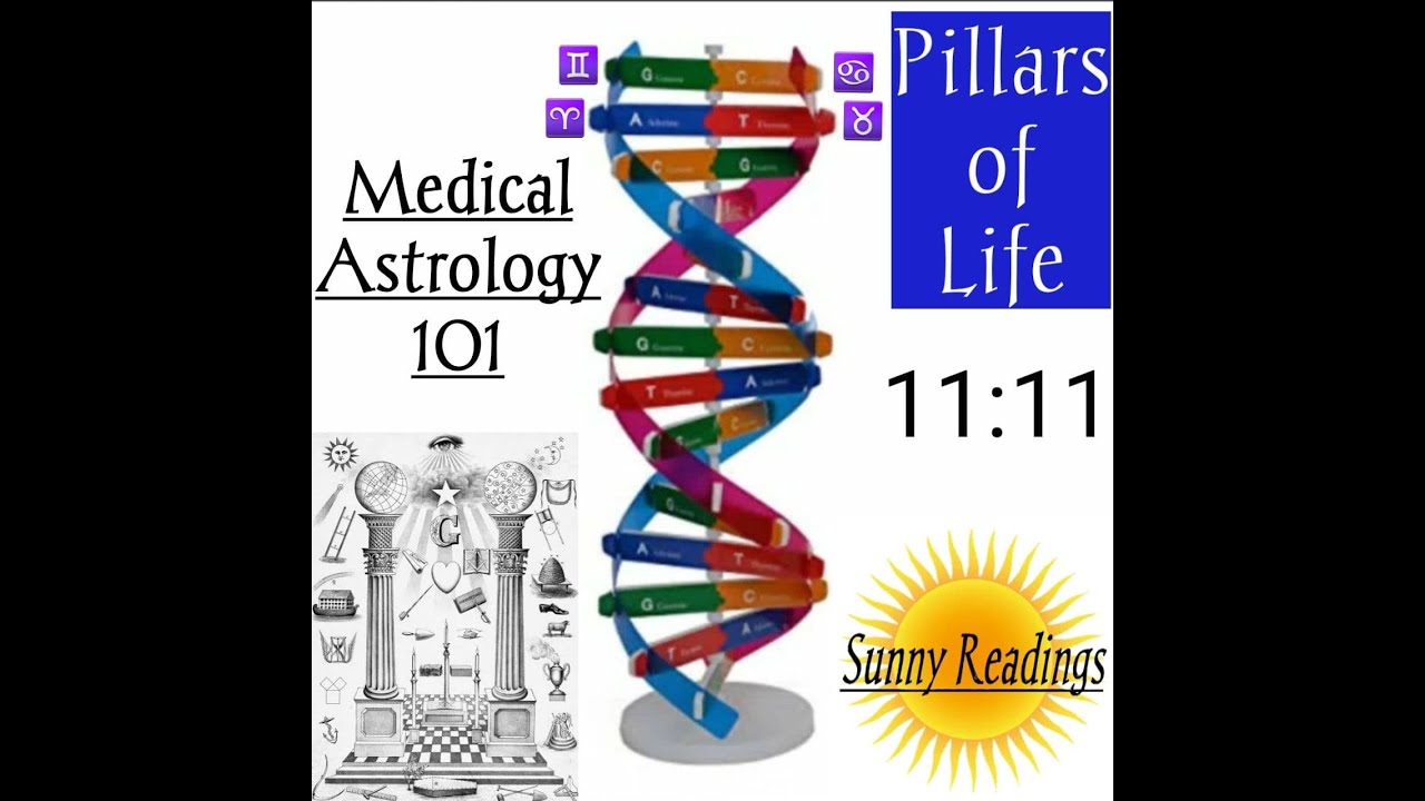 Introduction to Medical Astrology - Basics - Pillars of life - DNA 🧬- 11 Rudras - 11 Organ Systems