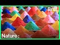 D'où viennent les pigments naturels ?