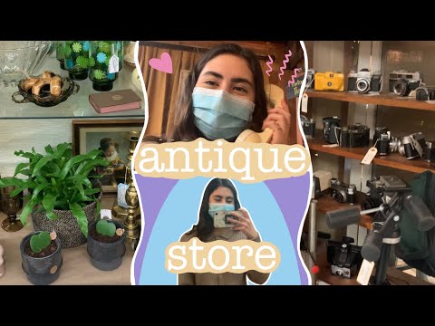 antique store shopping