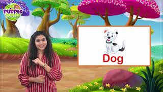 Learn Letter D, Words That Start With D For Kids - Let's Learn the English Alphabet