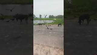 2872024 लबसरगत