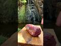 Beef Outdoor Cooking In Nature 