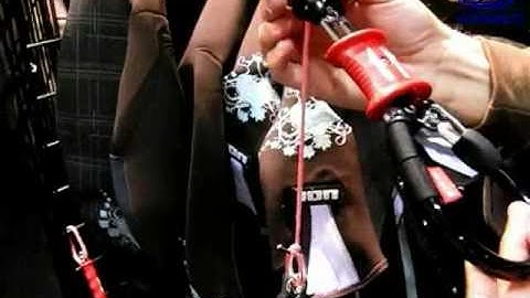 NORTH 5th Element bar 2009