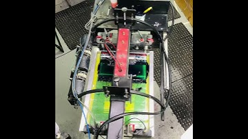 Workhorse Freedom 6/8