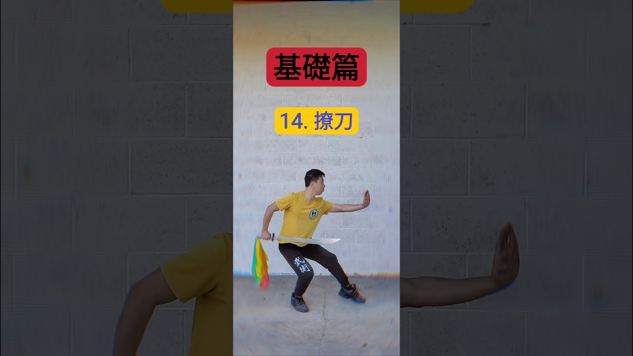 刀術教學第14天【撩刀】