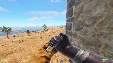 most braindead ppl on rust