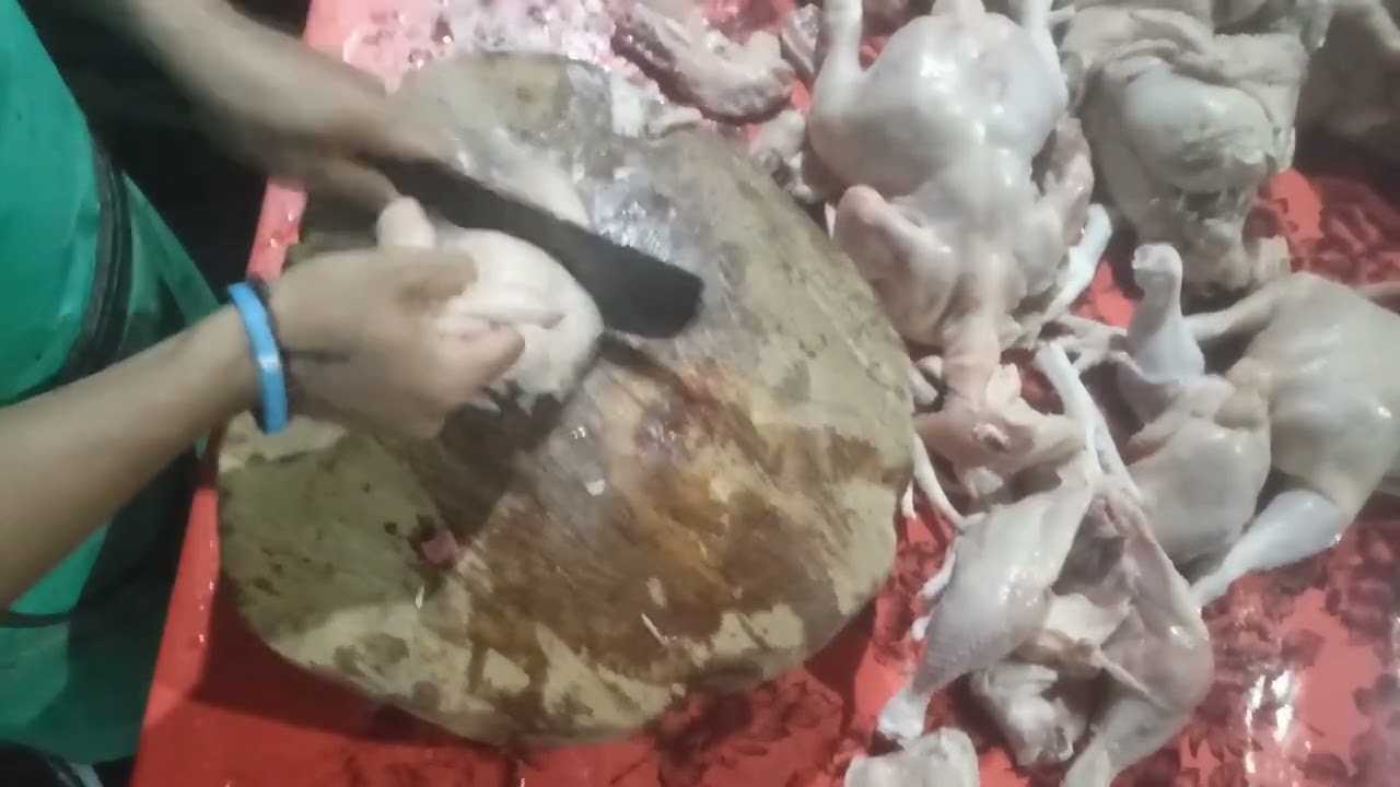Cara potong ayam geprek sepuluh bagian 