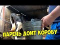 Как доить корову своими руками процесс доения 🐄 Как получить больше молока от коровы 🌼 Дойка вручную