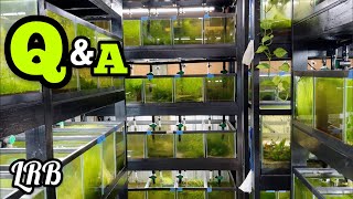Lrb Aquatics - Natures Way Is Live!