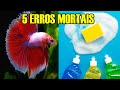 5 erros que podem matar o seu betta