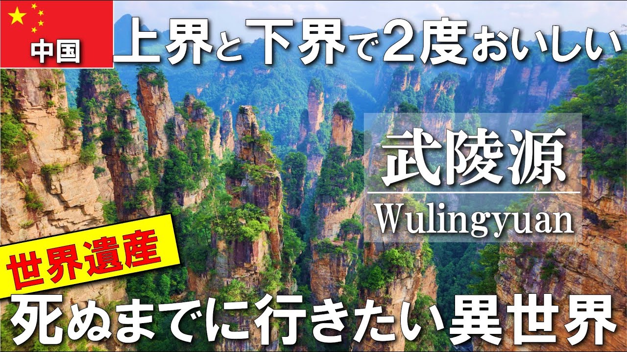 【中国一人旅】そりゃ映画で使われるわけだ、レベルが違う中国の奇岩群、圧倒的すぎる絶景異世界で上界と下界を行き来する #vlog #旅行 #海外一人旅 #中国 #travel #china