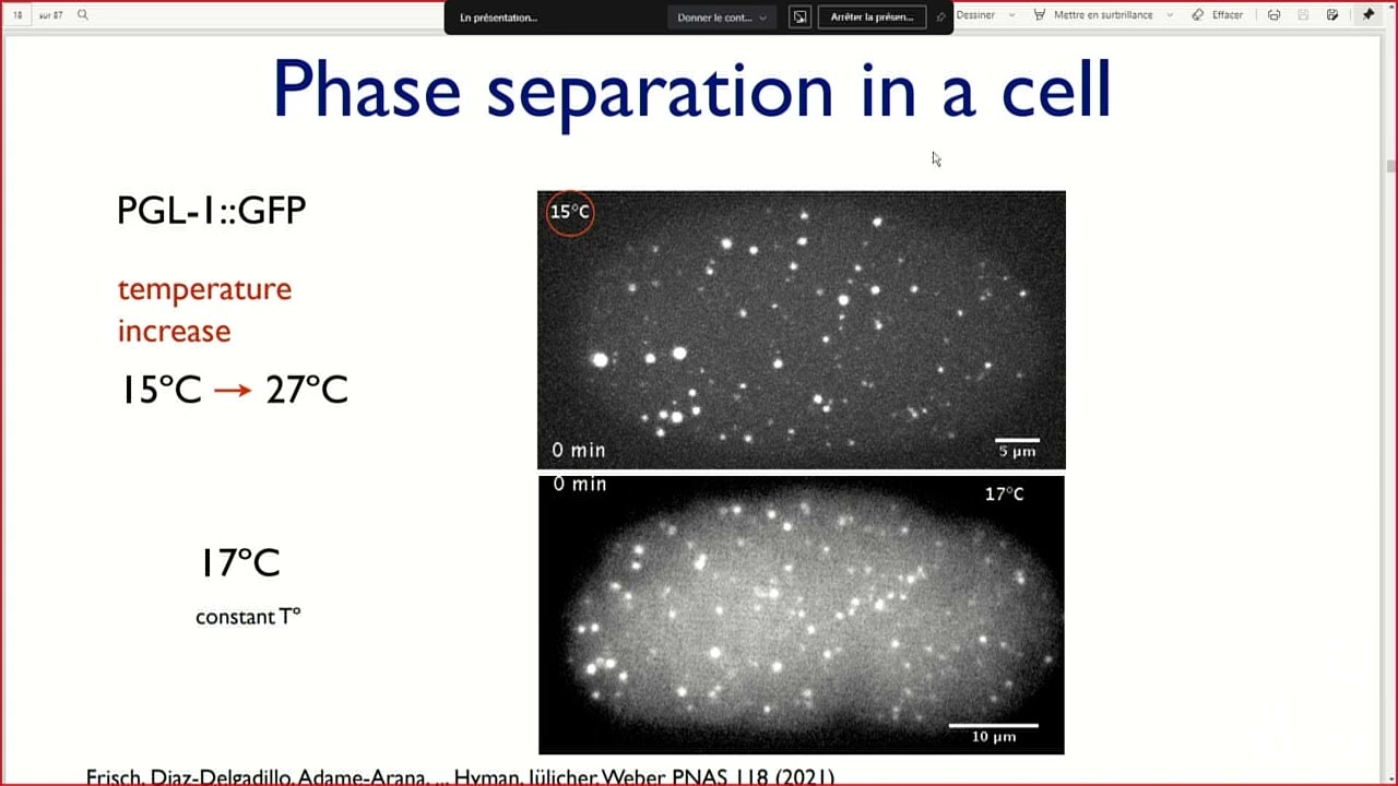 Frank Jülicher – Lecture “Physics of Active Droplets”