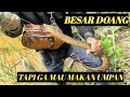 MANCING BELUT BABON INI HARUS MENGGUNAKAN 3 KAIL - EEL FISHING