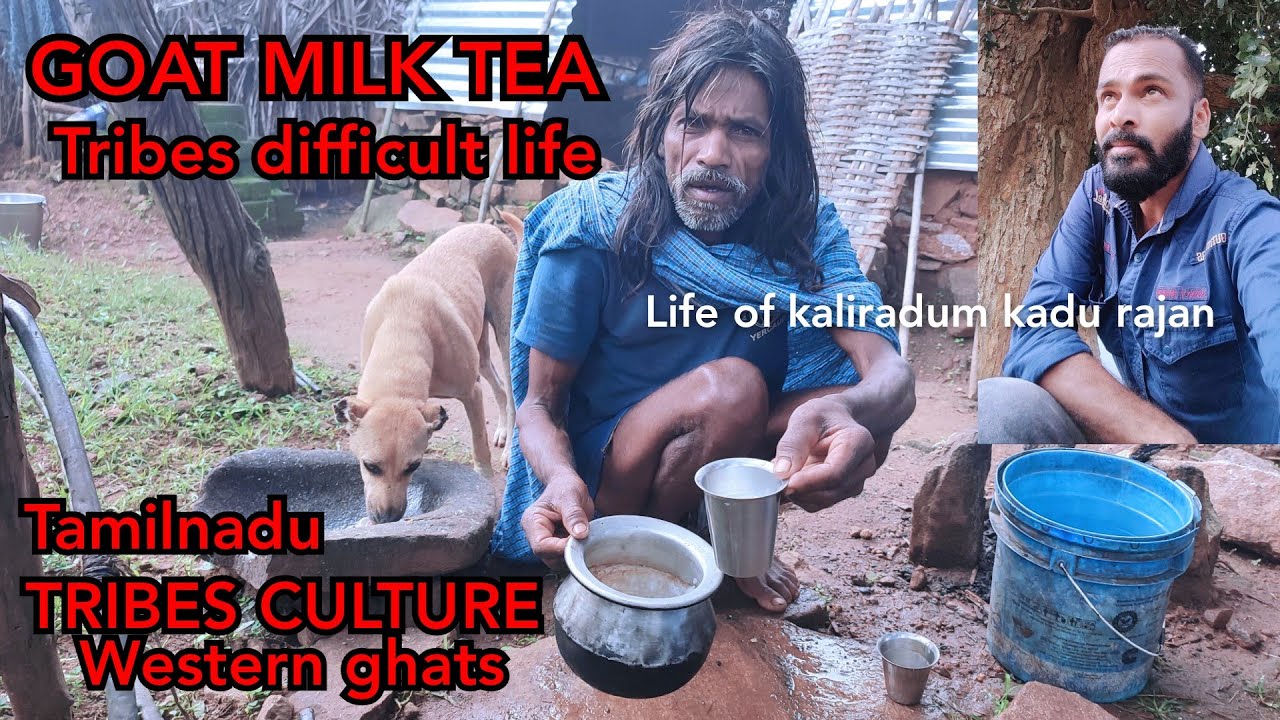 இயந்திரகதியில் அழிவுதேடும் புறாகூண்டில் அடைபட்ட வாழ்க்கை எங்களுடையது முருகா! நீ கடவுளின் கை குழந்தை!