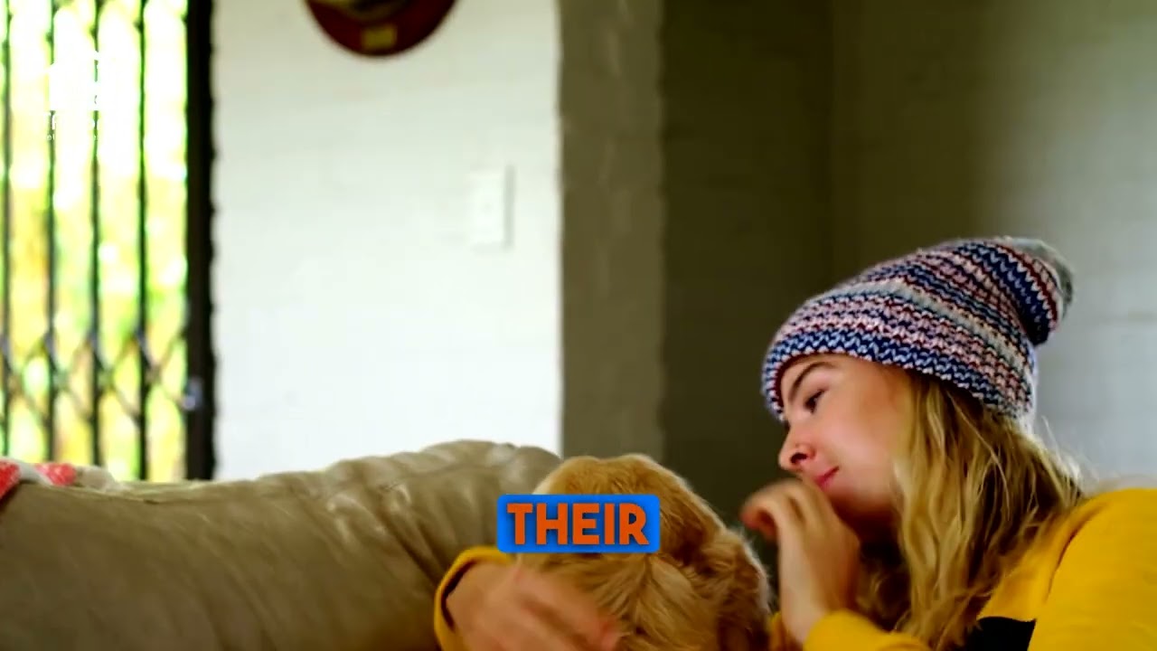 Destructive Chewing: Prevent Habit