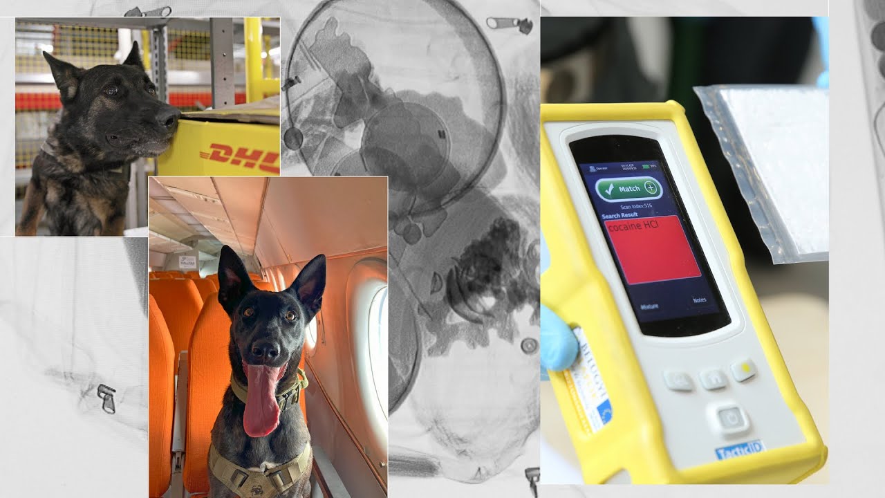 Kiszagolt csempészáru: vámosok akcióban, repülőtéri fogások (Ep. 314)