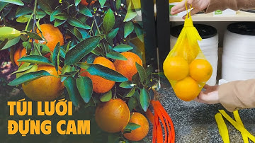 Bật mí loại túi lưới đựng trái cây tiện lợi/sanxuattuiluoi.com