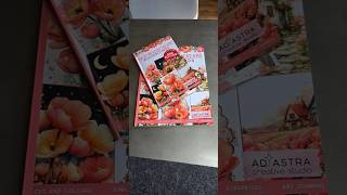 Tulip Meadow Dreams Backgrounds