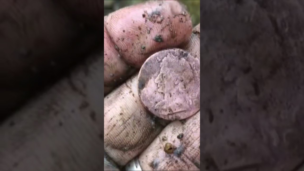 На пляже Дамбартон найдена монета в полпенни с монетой Георга II