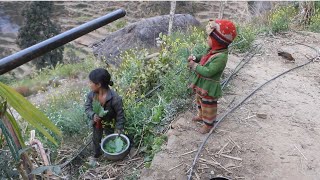 Nepali village || Cooking green vegetables in the village by NepaliVillage 12,110 views 2 weeks ago 39 minutes