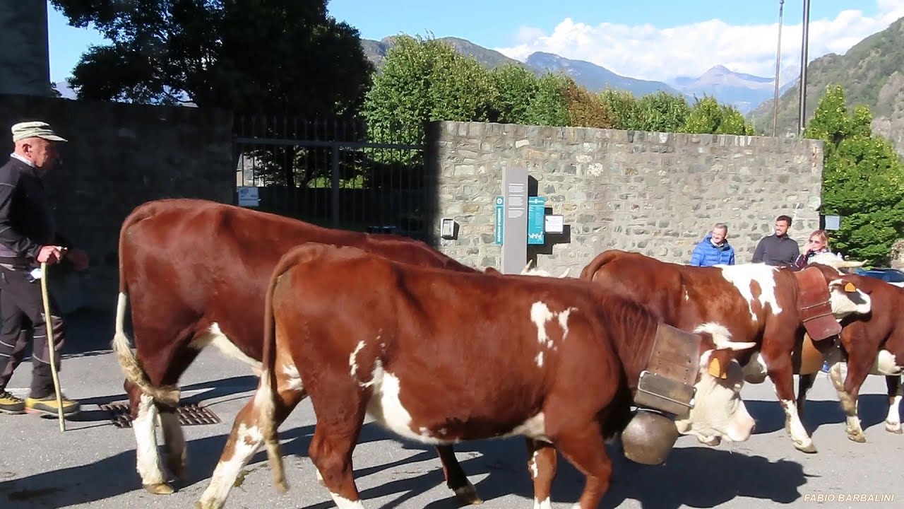 La Désarpa d'Issouègne