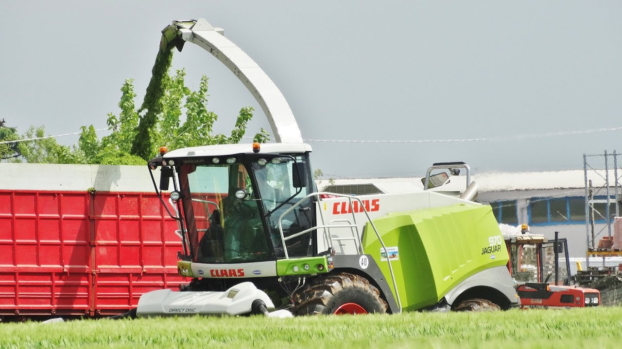 Triticale Silage | Claas Jaguar 970 + Claas Direct Disc 610 + John Deere 7710/6520/6900/6310