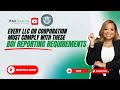 Every LLC or Corporation Must Comply with These BOI Reporting Requirements!