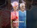 What happens when a football player scores a goal. #ai #humananatomy #Football #fifaworldcup