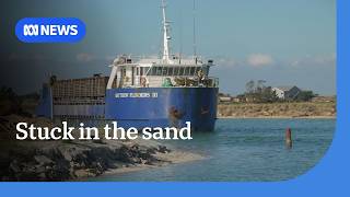 Shipping boss sick of getting stuck in the sand | ABC News