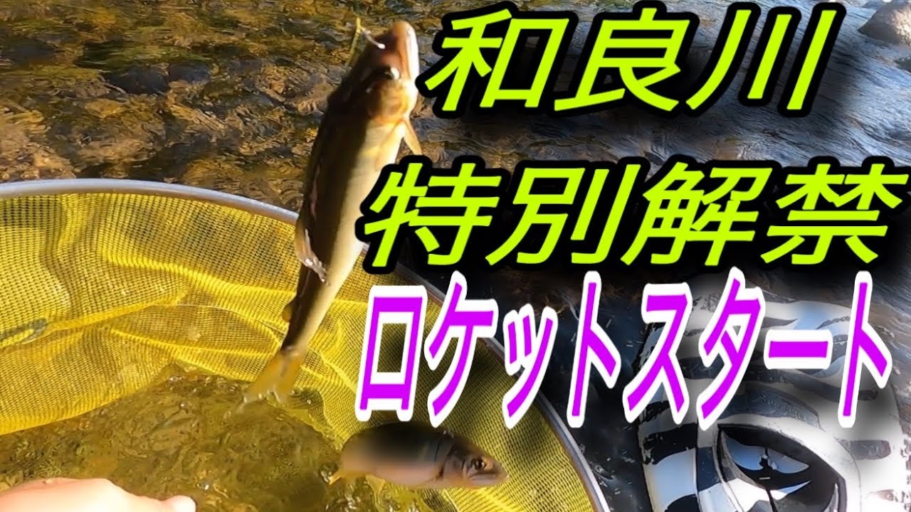 和良川特別解禁　ロケットスタート