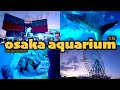Diving into Osaka Aquarium in Japan, one of the world’s largest aquariums! | Osaka Days 🇯🇵 #japan