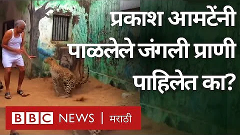 प्रकाश बाबा आमटे: मनाने करोडपती असलेलं व्यक्तिमत्त्व | Prakash Baba Amte (BBC News Marathi)