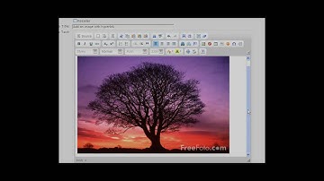 CK Editor -- Add Images