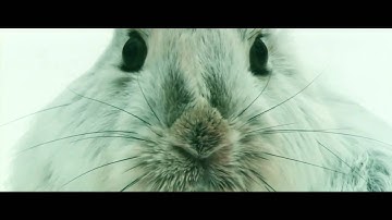 Cubic Nomad ft. Emma Susanne - De Elementen [Official Video]