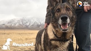 Military Dog Is SO Happy To Finally Be Home With His Dad | The Dodo Reunited