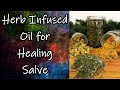 Herb Infused Oil for Healing Salve