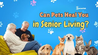 The Healing Power of Pet Therapy in Senior Living