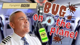 3 Legs in the B737 | Flying with Big Ern