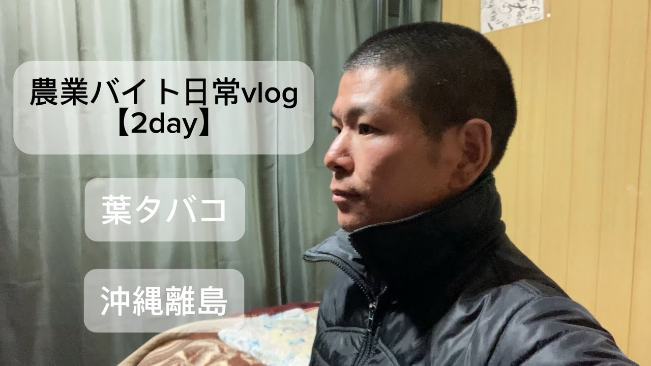 【2day】沖縄｜農業バイト日常vlog#ルーティン#自然#瞑想
