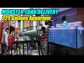 Aquarium Setup &amp; Delivery - 225 Gallons + Trickle Filter Antipolo