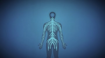 Revamping Modern Electronics with Memristive Technologies
