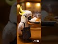 "Five barn owls are visiting a cozy forest restaurant."#cute #owl