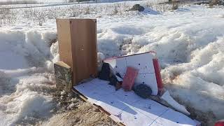 крал панчер макси 3 плинкинг