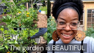 FULL garden tour! SO much to see!!! #gardentour by Our Freedom Song 10,764 views 3 weeks ago 35 minutes