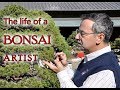 A year in the life of a Bonsai Artist.