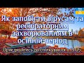 Як запобігти вірусам та респіраторним захворюванням в осінній період